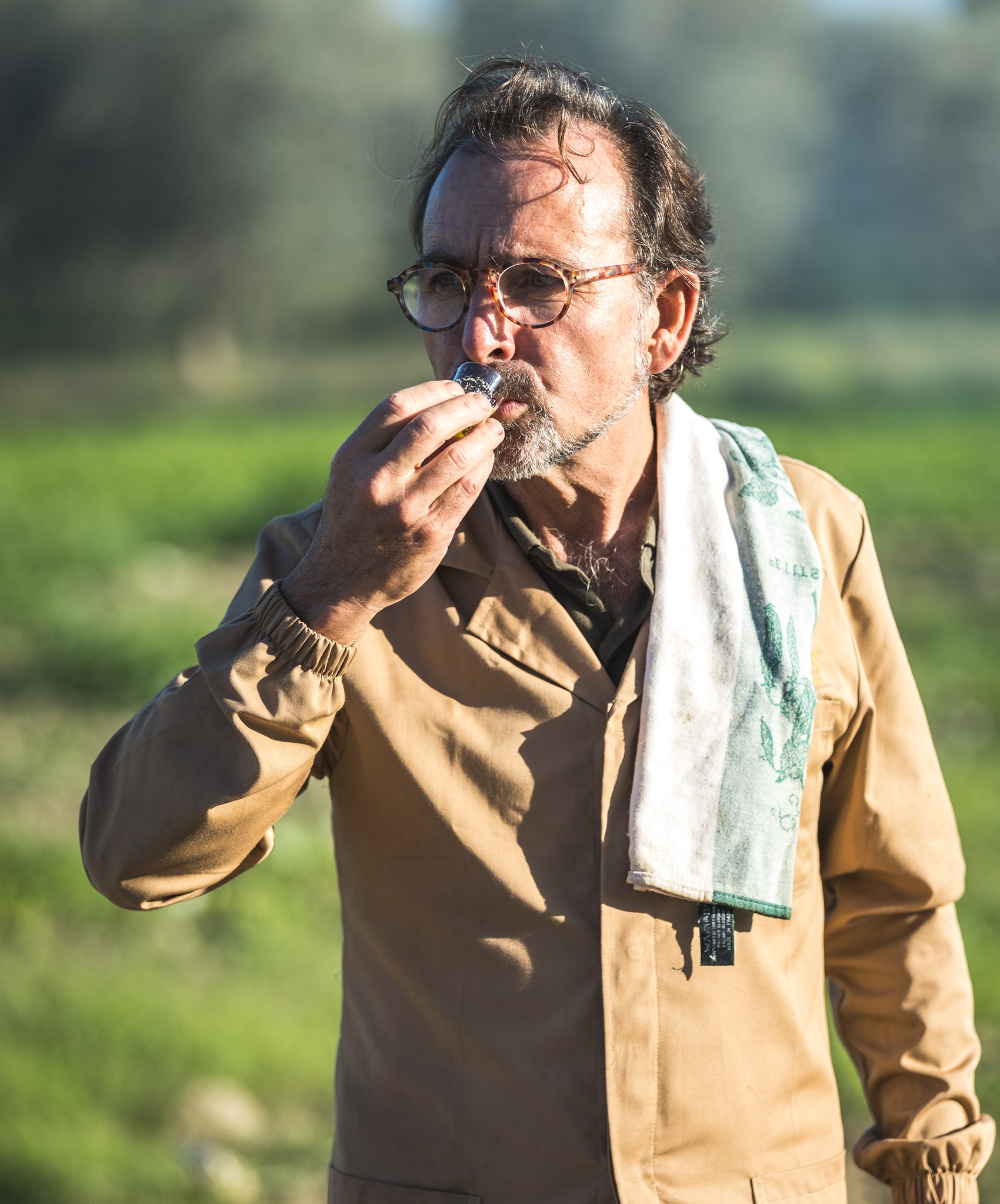Certified Organic Olive Oil | Quality guaranteed by Olea Prilis